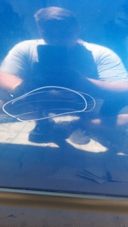 фото thumb №3, Дверь задняя задние правое citroen c3 02r