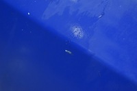 фото thumb №10, Дверь левая перед передние niebieskie peugeot bipper 08-20