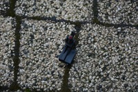 фото thumb №15, Диод сигнализация vw jetta 1k0919238a nowa