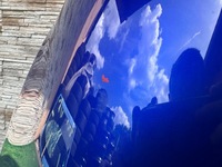 фото thumb №5, Капот mini f55 f56 f57 b62