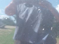 фото thumb №8, Капот малий решітка радіатора lz9w audi a3 8p 2.0 tdi 3d