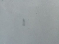 Капот bmw e90 Київ, фото thumb