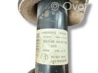 фото thumb №7, Alfa romeo 159 2007 с задний амортизатор задний