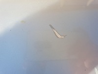 фото thumb №9, Крышка багажника багажника vw eos kpl.