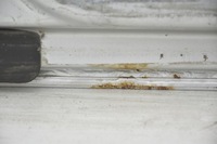 фото thumb №10, Дверь задние зад левая citroen jumpy expert scudo ii