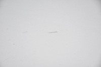 фото thumb №6, Капот кришка двигуна audi a6 c6