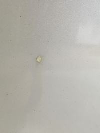 фото thumb №5, Chevrolet captiva lift 11/15 капот крышка крышка багажника перед ветровик