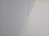 Купити Toyota rav4 v 5 2019- дверей праве  задні задні правий, фото thumb