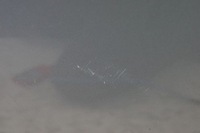 фото thumb №12, Двері правий перед bmw x3 e83