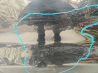 Toyota hilux 05-08 an10, an20, an30 дверь передние правое правая  перед Недорого, фото thumb