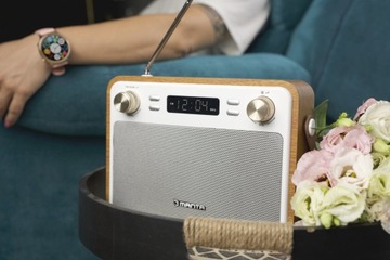 Розетка - портативное радио Bluetooth Manta RDI915X