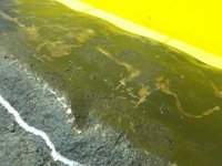 фото thumb №5, Chrysler voyager 2.8 crd 07r 150km vm47c поддон масла