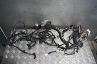 фото thumb №1, Джгут двигуна 1.0 tce 240115340s