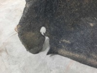 фото thumb №4, Mini r57 r58 защита подкрылок правое задние правый задняя