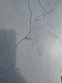 фото thumb №9, Бампер перед citroen c3 ii lift 2013-2016