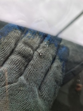 фото thumb №8, Стекло лобовое акустический 2008r audi a8 d3 guardian