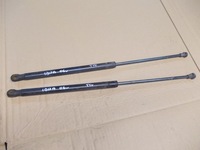 фото thumb №1, Амортизаторы амортизаторы задний крышки ibiza 3