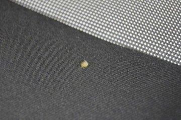 фото thumb №12, Twingo iii 5d диван задня