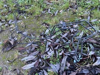 фото thumb №5, Провода тормозные rs4 b9 rs5 8w a5 8w a4 b9 оригинал