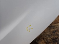 фото thumb №6, Дверь левая задняя задние hyundai i20 i phw lift