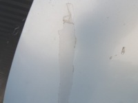 фото thumb №7, Капот крышка двигателя seat ibiza 3 iii 6l цвет ls5t