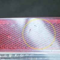 фото thumb №7, Audi rs5 2011 ліва сторона лампа задня