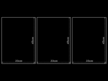 НАБОР РАМКИ A3x3 ИЗОБРАЖЕНИЕ ПОСТЕР ПАРИЖСКИЕ ЦВЕТЫ