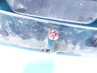 фото thumb №3, Решётка радиатора решётка радиатора kia cerato i 03-06