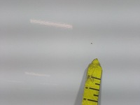 фото thumb №15, Kia picanto ii 3d дверь перед левая передние ud