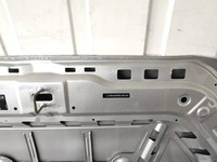 фото thumb №16, Капот mg mg4 mulan