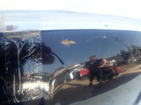 фото thumb №5, Ford kuga i 1 mk1 08-13 капот кришка двигуна