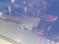 фото thumb №3, Двері праві перед opel corsa c z20z