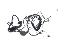 фото thumb №1, Жгут дверь перед правая bmw g30 16-20