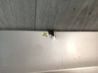 фото thumb №6, Volvo xc90 i диффузор накладка бампера заднего 31425207