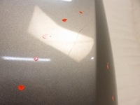 фото thumb №9, Капот seat altea 5p1