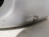 фото thumb №7, Mazda premacy i lift бампер перед передній