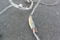 фото thumb №6, Установка pdc зад mercedes gl x164 ml w164 рестайлинг