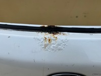 фото thumb №5, Lexus rx iii 3 450h 08-15r крышка багажника багажника задняя задняя