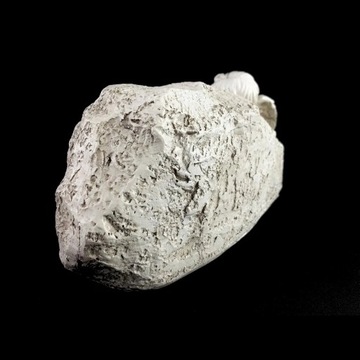 Znicz Figurka ANIOŁ STRÓŻ na grób SIOSTRY Podświetlany Krzyż