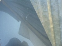 фото thumb №8, Крыло левый перед mercedes cla w118 a1188810300