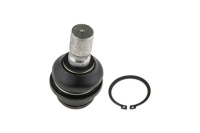 фото thumb №1, Шаровая опора рычага nissan pathfinder 05- заднего dol.