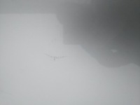 Капот крышка двигателя vw polo 6r v 5 hb lata 2009-2014 оригинал цвет la7w Цена, фото thumb