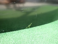 фото thumb №5, Citroen c3 ii 09- крышка багажника задняя задняя