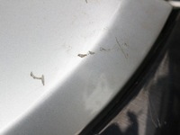 фото thumb №2, Крышка багажника задняя задняя renault scenic ii ted69