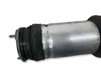 фото thumb №10, Амортизатор пневматический зад tesla модель x 102746100g