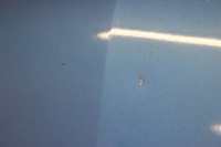 фото thumb №10, Капот крышка двигателя kia sorento i 2002- 2x