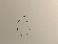 фото thumb №5, Кришка багажника багажника задня mercedes r170 2.0 99r 744