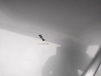 Капот кришка двигуна opel astra h 3 оригінал лак z163 Зі Шроту, фото thumb