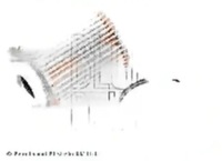 Купити Фільтр оливи adp152102 blue print citroen, фото thumb