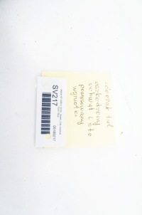 фото thumb №13, Sv217 jaguar xf ii x260 ^ бампер задняя задний sedan blue